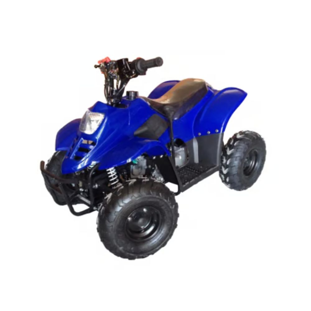Квадроцикл Racer Raptor 110cc (мотокомплект) — квадроцикл Racer